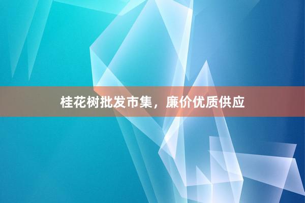 桂花树批发市集，廉价优质供应